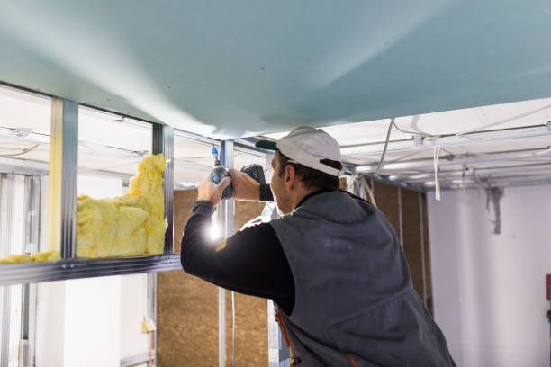 Best Residential Insulation in Texarkana, TX
