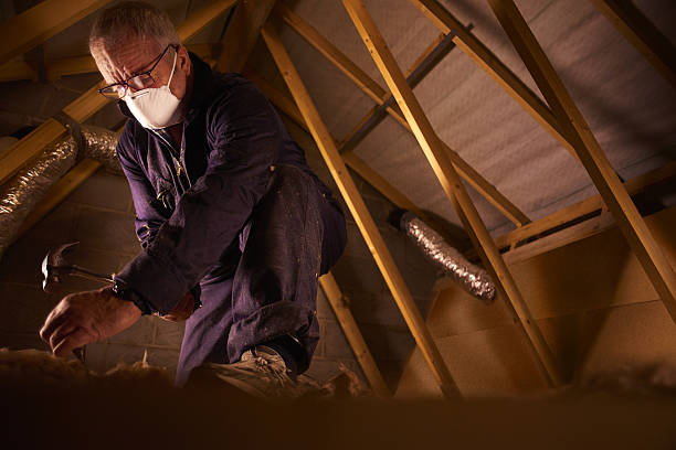 Trusted Texarkana, TX Insulation Contractor Experts