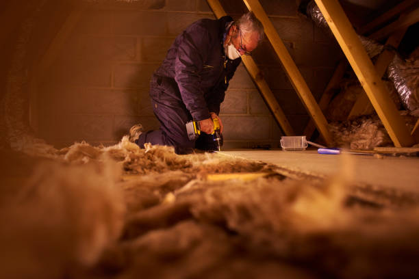 Best Eco-Friendly Insulation in Texarkana, TX